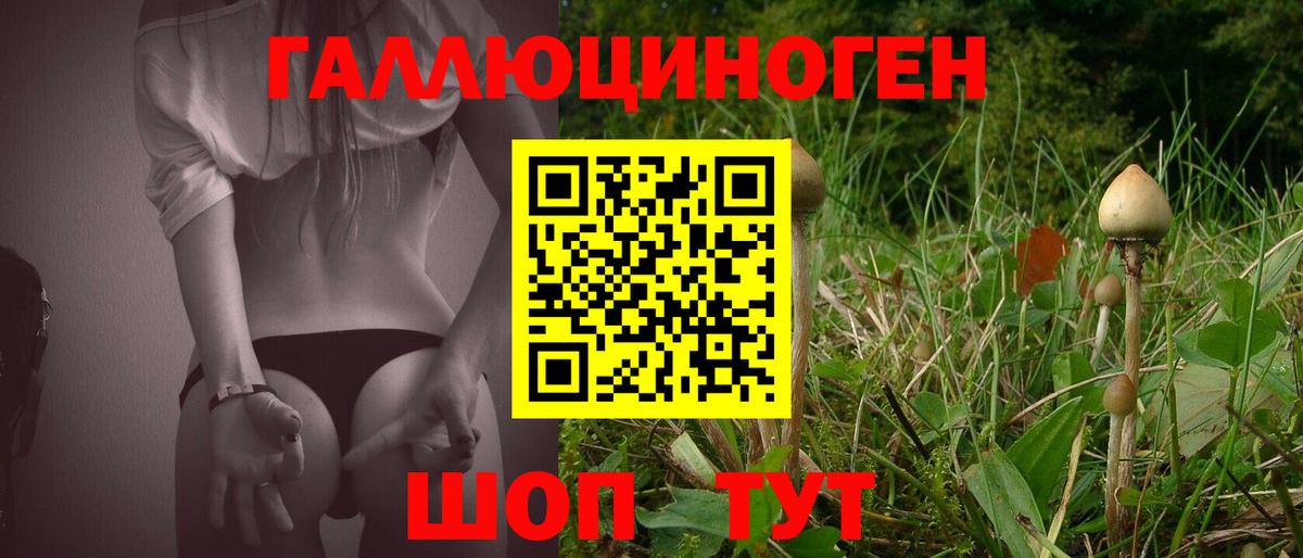 Галлюциногенные грибы Psilocybe  Вход с VPN  дарнет шоп  Реутов  Псилоцибиновые грибы GOLDEN TEACHER 